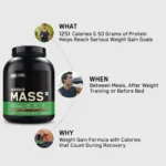 ON Serious Mass High Protein Weight Gainer Powder - Image 8