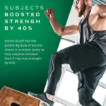 MuscleTech Amino Build, 1.3 lb - Image 6