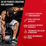 GNC Creatine Monohydrate, 250 g (0.55 lb) - Image 7