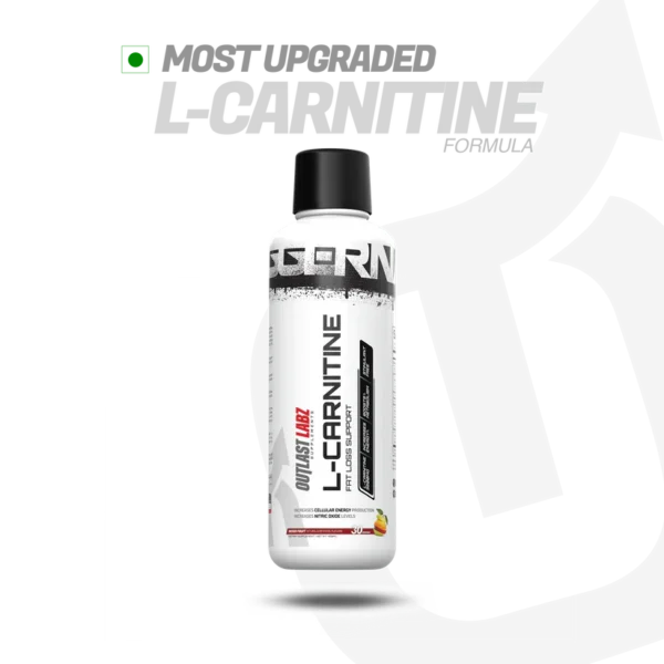 outlast labz l-carnitine