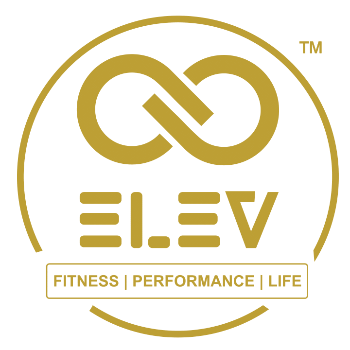 elev global logo